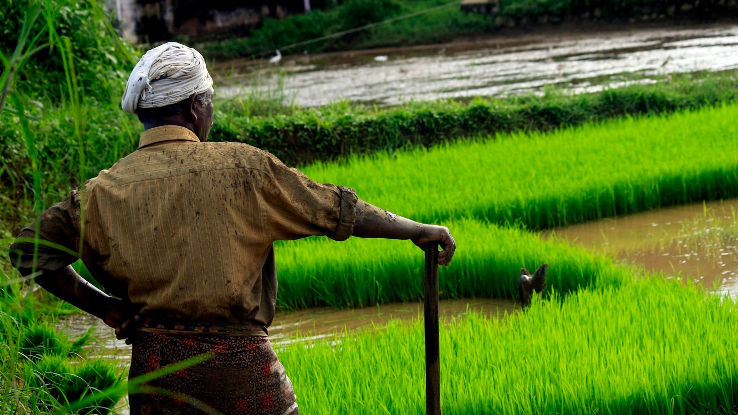 A importância da certificação técnica no agro